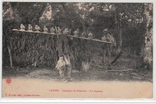 Chasseurs palombes landes d'occasion  France