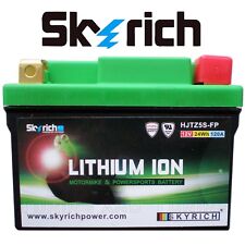 Batteria litio skyrich usato  Salerno