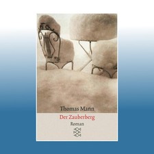 Zauberberg thomas manns gebraucht kaufen  Bornheim