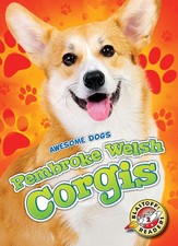 Pembroke welsh corgis for sale  Denver