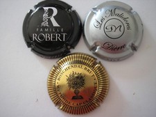 Capsules mousseux crémant d'occasion  Antony