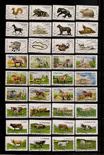 marcheurs chevaux marcheurs chevaux d'occasion marcheurs chevaux marcheurs chevaux d'occasion  Le Thillot