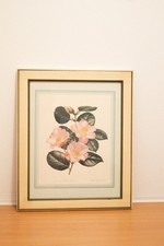 Blumen bilder lesslie gebraucht kaufen  Uelzen