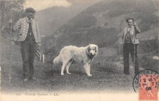 Old postcard dien d'occasion  Expédié en Belgium