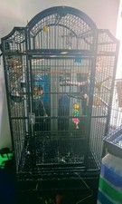 Bird cage parrot for sale  SLOUGH