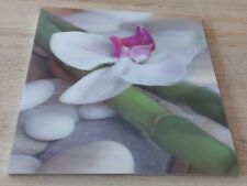wackelblume gebraucht kaufen wackelblume gebraucht kaufen Senftenberg