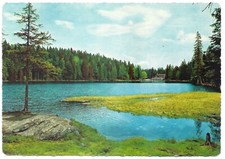 Großer arbersee arberseehaus gebraucht kaufen  Köthen