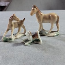 Horse foal dog for sale  BLAYDON-ON-TYNE