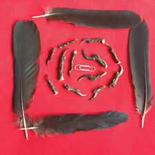 Twelve crow claws for sale  ALCESTER