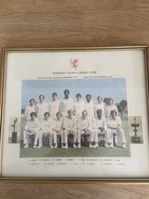 somerset cricket for sale somerset cricket for sale PORTSMOUTH