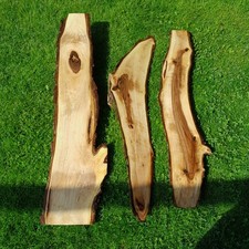 Deko nussbaum walnuss gebraucht kaufen Deko nussbaum walnuss gebraucht kaufen  Deggendorf