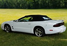 2001 pontiac firebird for sale  Lakeland