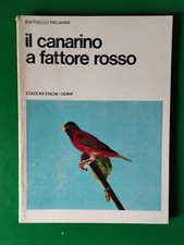 Canarino fattore rosso usato  Caltanissetta