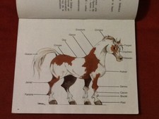 Poney nanuel apprentissage d'occasion Poney nanuel apprentissage d'occasion  Draguignan