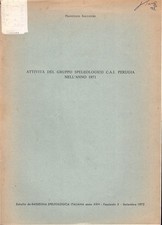 Attivita del gruppo usato  Scandicci