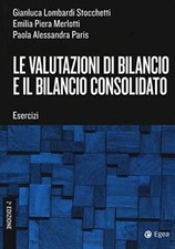 Valutazioni bilancio bilancio usato  Sesto San Giovanni