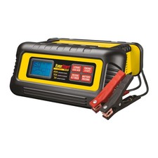 Everstart maxx amp for sale  Rexburg
