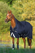 Utdoordecke horseware amigo gebraucht kaufen  Hachenburg