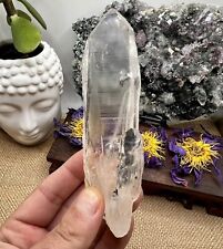 Beautiful rare lemurian for sale  LONDON