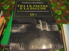Mantova tra pietre usato  Torino