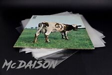 Mcdaison buste dischi usato  Trieste
