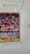 Hulk hogan merlin usato  Cosenza