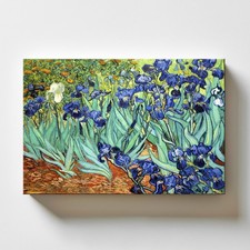 Quadro vincent van usato  Pontecagnano Faiano