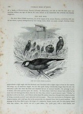 Old antique print d'occasion  Expédié en Belgium