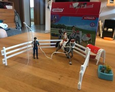 Schleich 42443 horse gebraucht kaufen  Cadolzburg
