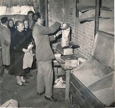 1955 rovigo torrefazione usato  Cremona