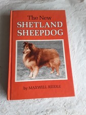 New shetland sheepdog for sale  WORCESTER