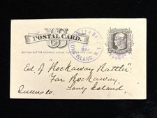 NY OYSTER BAY LONG ISLAND 1884 GOVERNO POSTAL FANTASIA STARBURST comprar usado  Enviando para Brazil
