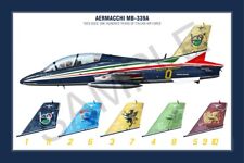 Aermacchi 339a squadron usato  Milano