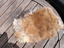 Peau lapin 34 d'occasion  Lorient
