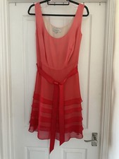 Ombré red pepperberry for sale  BRACKNELL