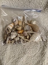Bag assorted sea for sale  White Haven