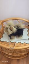 Yorkshire terrier dog for sale  LEEDS