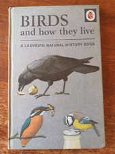 Ladybird book series for sale  NEW ROMNEY