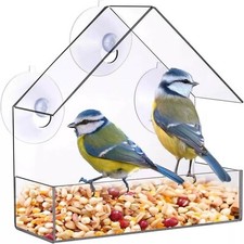 Clear window bird for sale  Rancho Cucamonga
