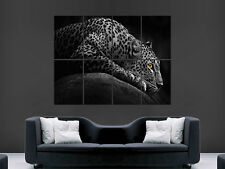 Leopard resting digital for sale Leopard resting digital for sale  BOURNEMOUTH