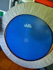 Trimilin trampoline gebraucht gebraucht kaufen  München