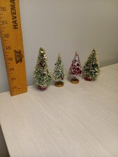 bottle brush tree for sale bottle brush tree for sale Elizabeth