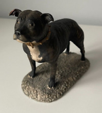 Staffordshire bull terrier for sale  SEAFORD