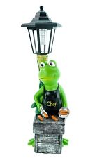 Frosch grillmeister led gebraucht kaufen  Hanau