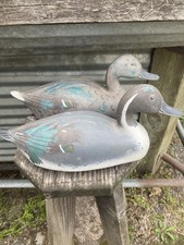 victor duck decoys for sale victor duck decoys for sale Vancouver