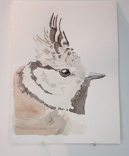 Mésange huppée aquarelle d'occasion  Bouaye