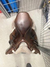 Schöner seabis arona gebraucht kaufen Schöner seabis arona gebraucht kaufen  Straubing