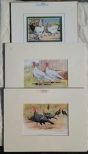 Lot three 1920s for sale  Elizabeth