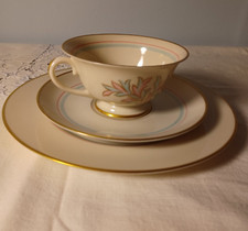Vintage franciscan china for sale  Brewster