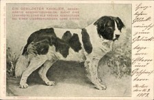 Künstler torggler hund gebraucht kaufen  Berlin